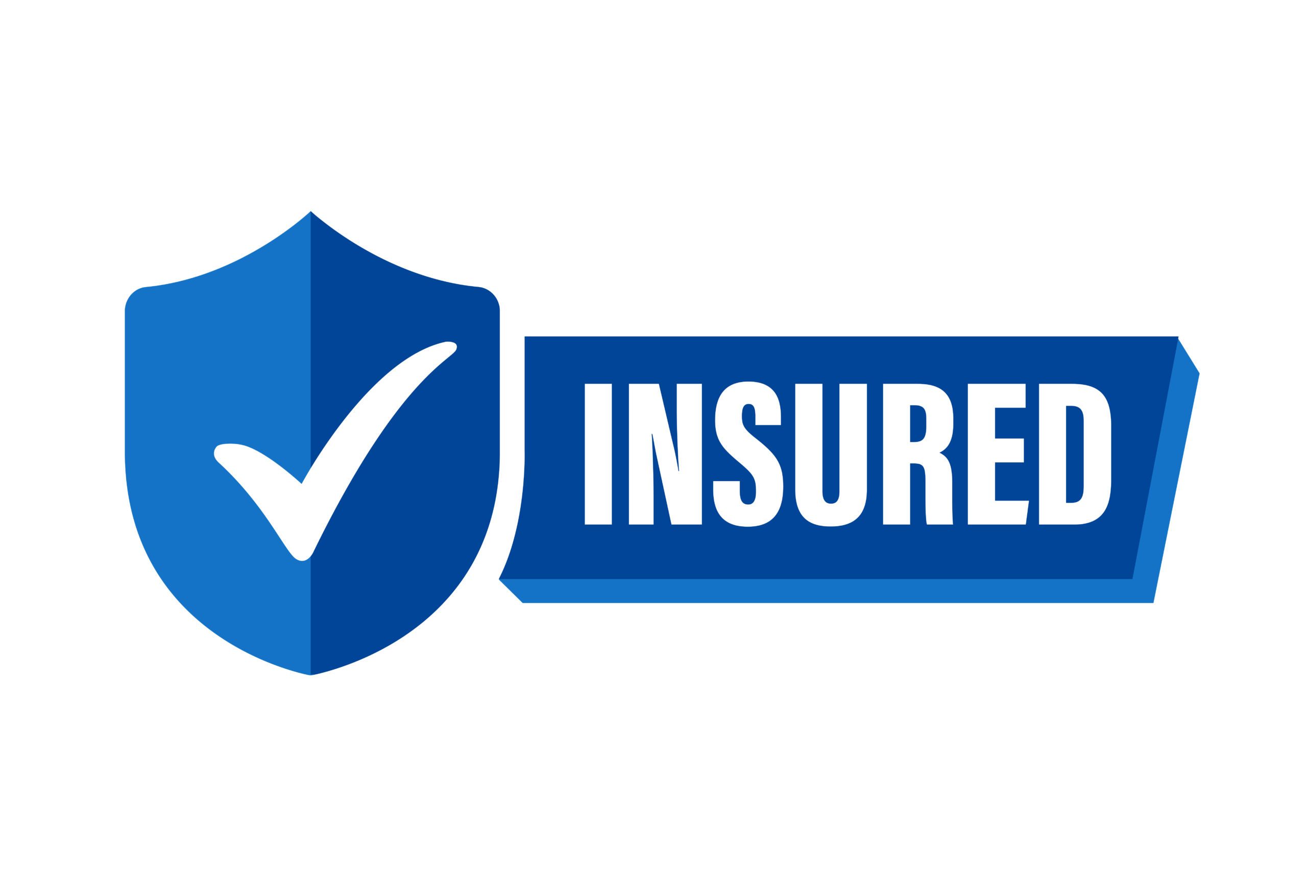 insured (1)